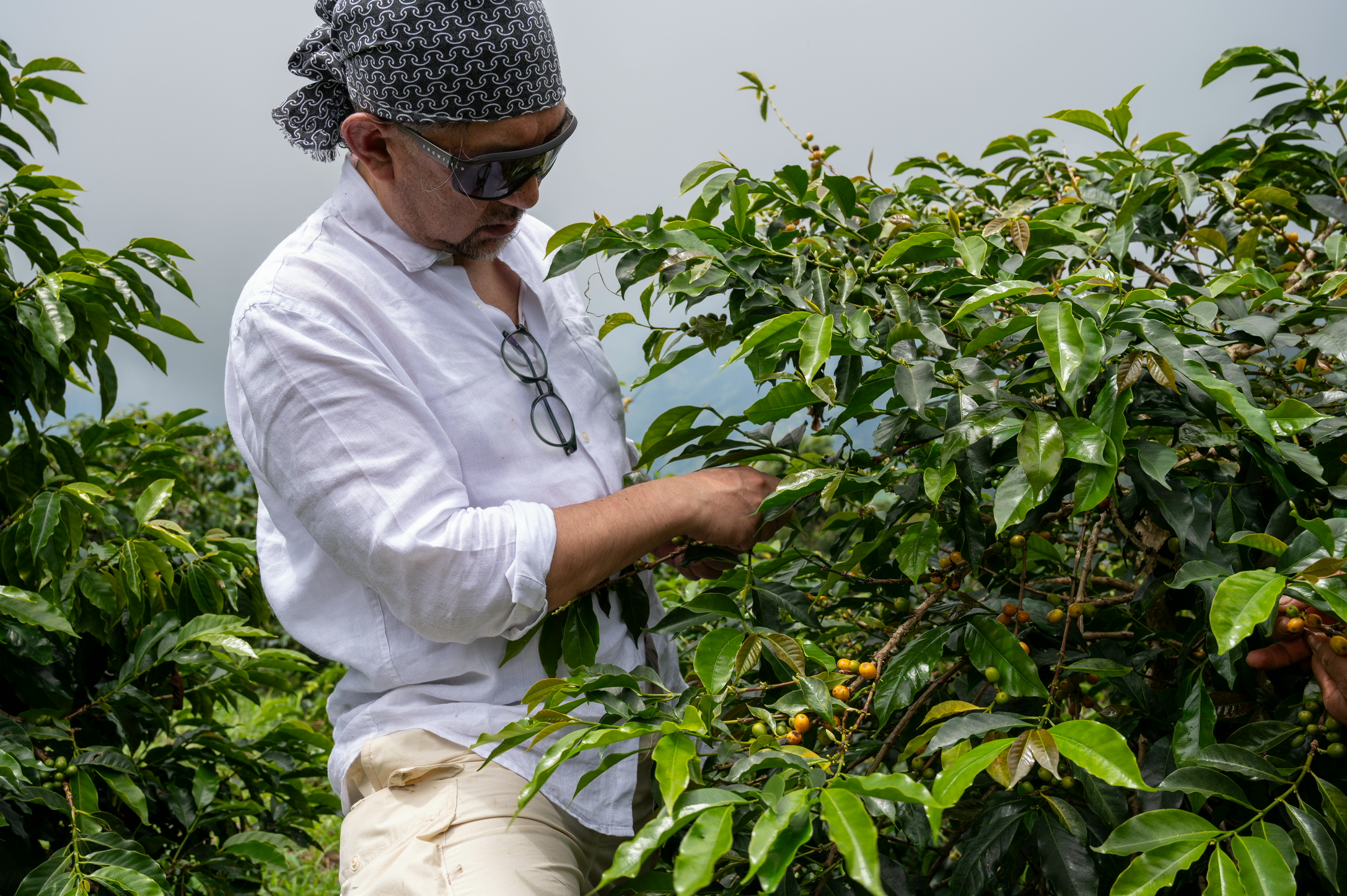 山梨でカッピング会を開催します! 山梨でカッピング会を開催します!