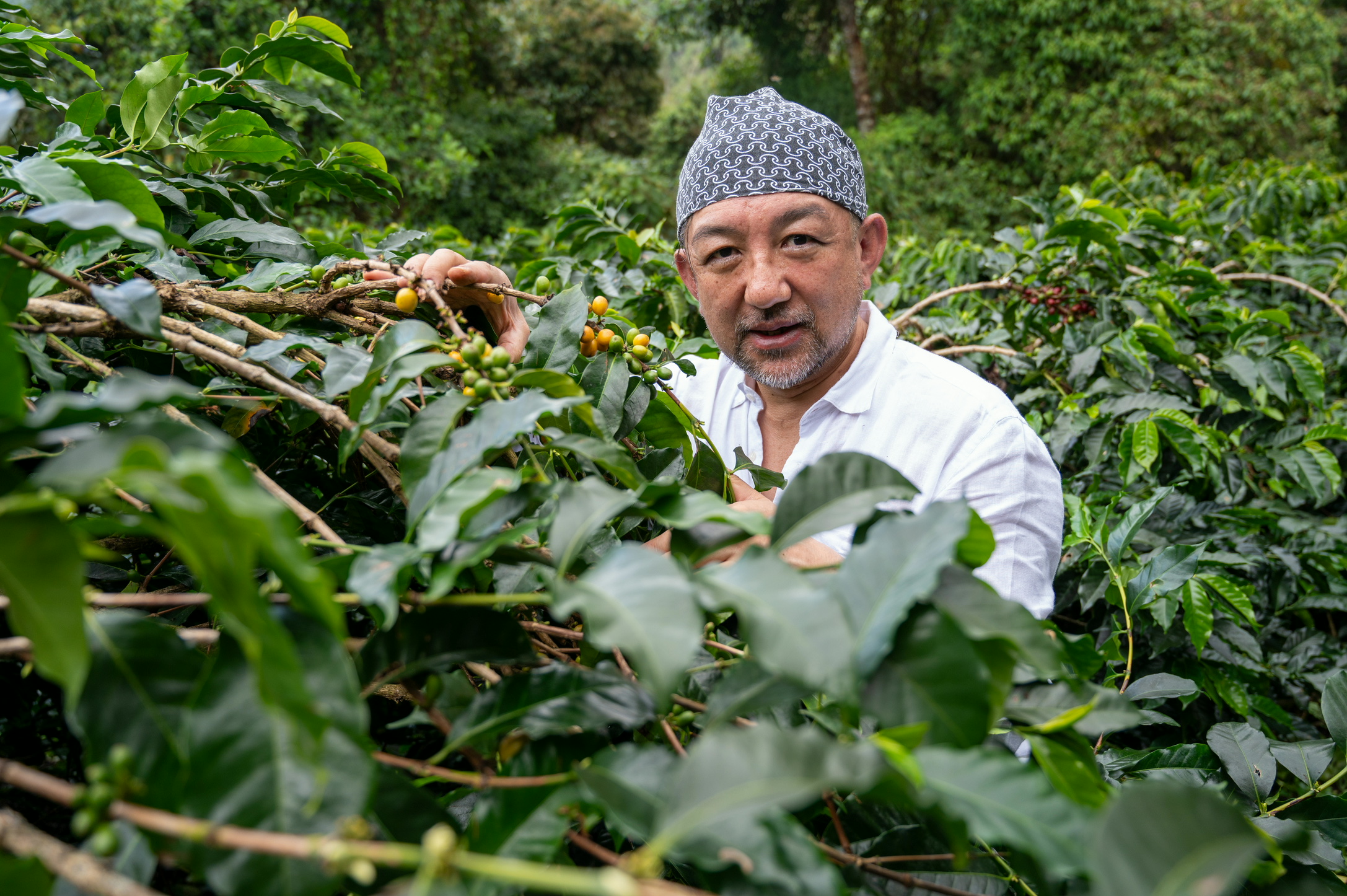 ✨Café Directo カッピングパーティー福岡＠Filter Supply✨